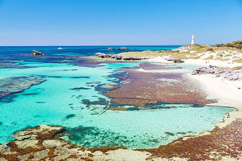 Rottnest Island Wild Seafood Package With Round Trip Ferry From Fremantle - E Caravan Parks 3