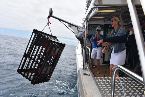 Rottnest Island Wild Seafood Package With Round Trip Ferry From Fremantle - E Caravan Parks 5