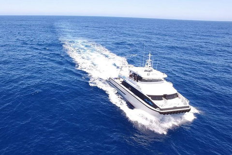 Augusta Whale Watching Eco Tour - E Caravan Parks 8