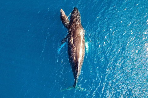 Buccaneer Explorer - E Caravan Parks 5