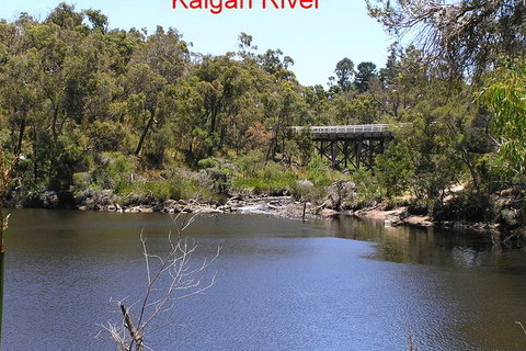 Kalgan Queen Scenic Cruises A Four Hour Sheltered Water Wildlife Tour Daily Fun. - E Caravan Parks 3