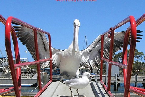 Kalgan Queen Scenic Cruises A Four Hour Sheltered Water Wildlife Tour Daily Fun. - E Caravan Parks 4