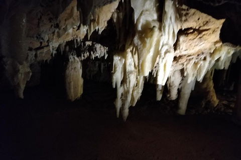 The Pinnacle Adventure Tour - E Caravan Parks 1