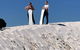 The Pinnacle Adventure Tour - thumb 4