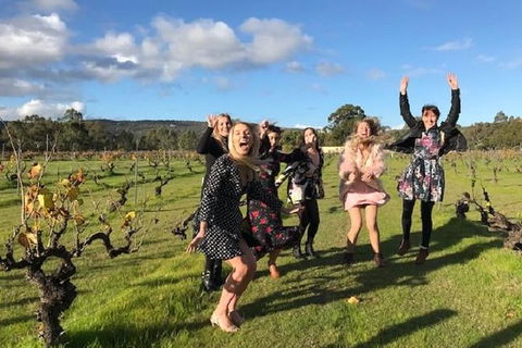 VW Kombi Food, Wine And More Tour (bring The Kids!) - E Caravan Parks 3