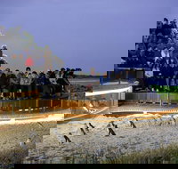 1 Day Private Phillip Island Tour VIP Charter up to 9 People - E Caravan Parks