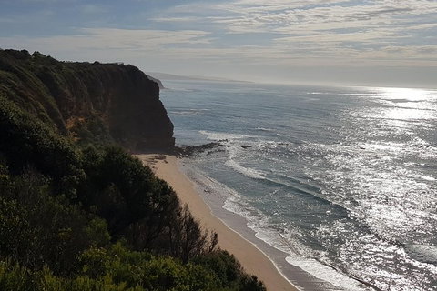 Full-Day Great Ocean Road Tour From Melbourne - E Caravan Parks 5