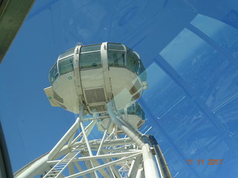 Melbourne Star Observation Wheel Admission - E Caravan Parks 4
