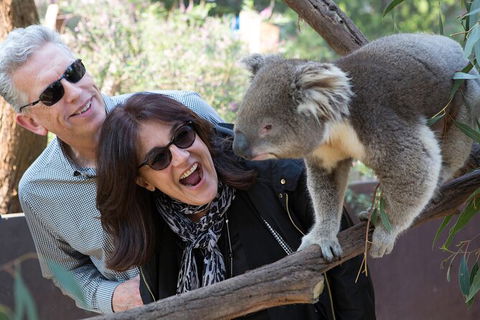 Yarra Valley Wine & Wildlife - Private Regional Tour - E Caravan Parks 3
