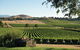 Melbourne Shore Excursion City Sights, Australian Wildlife, Yarra Valley - thumb 1