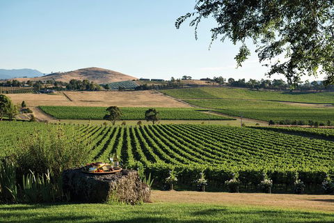 Melbourne Shore Excursion City Sights, Australian Wildlife, Yarra Valley - E Caravan Parks 1