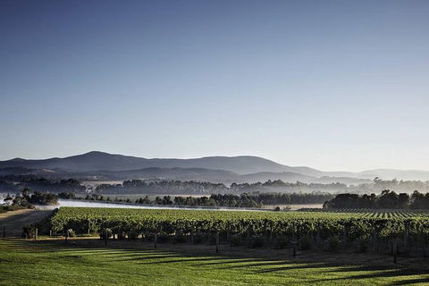 Luxury Chauffeured Yarra Valley Wine Tour With Lunch - For 2 - E Caravan Parks 1