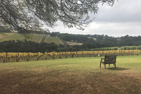 Rick's Wine Tours - E Caravan Parks 1