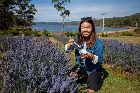 Port Arthur And Lavender Farm Active Day Tour - E Caravan Parks 2