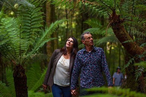 West Coast Wilderness Railway: River And Rainforest From Strahan - E Caravan Parks 1