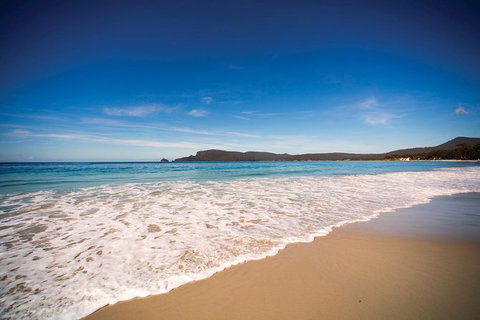 Private Bruny Island Nature Day Trip From Hobart - E Caravan Parks 1