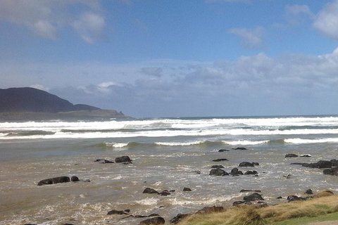 Private Bruny Island Nature Day Trip From Hobart - E Caravan Parks 0