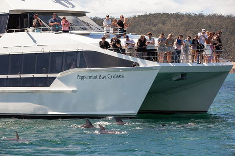 The Peppermint Bay Lunch Cruise From Hobart - E Caravan Parks 0