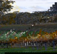 Barossa Valley with Hahndorf Tour from Adelaide - E Caravan Parks