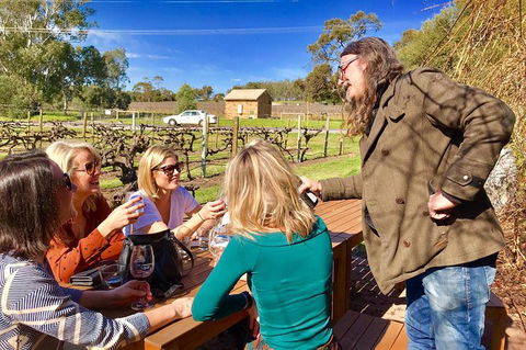 Mclaren Vale Luxury Full Day Small Group Wine Tour - E Caravan Parks 6