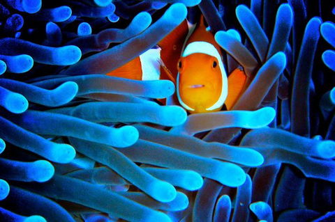 5-Day Best Of Cairns With Daintree, Kuranda, And Great Barrier Reef - E Caravan Parks 0