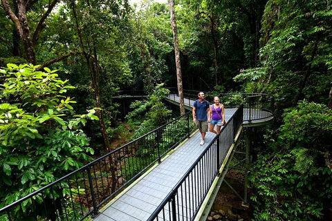 5-Day Best Of Cairns With Daintree, Kuranda, And Great Barrier Reef - E Caravan Parks 4