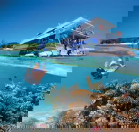 3-Day Southern Great Barrier Reef Tour Including Lady Musgrave Island - E Caravan Parks