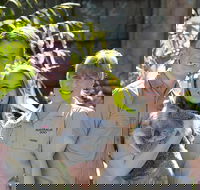 Koala Cuddle Adventure Croc 2 - E Caravan Parks