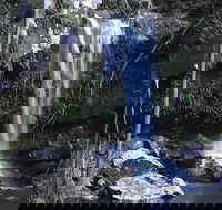 You Choose the Tour Brisbane Private Chauffeur Driven Personal Tour - E Caravan Parks