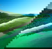 Cape Tribulation Mossman Gorge and Daintree Rainforest Day Trip from Cairns or Port Douglas - E Caravan Parks