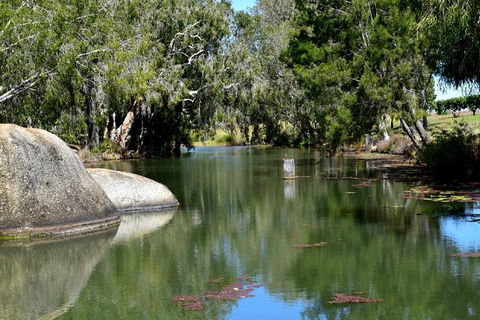 Daintree - Cape Tribulation & Atherton Tablelands Tours From Port Douglas - E Caravan Parks 28