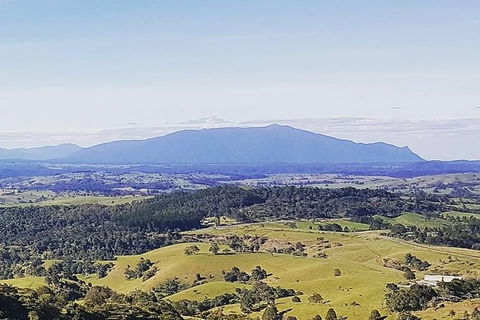 Daintree - Cape Tribulation & Atherton Tablelands Tours From Port Douglas - E Caravan Parks 10