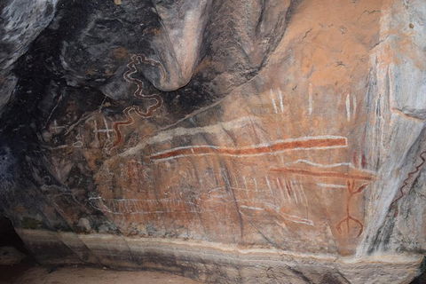 Daintree - Cape Tribulation & Atherton Tablelands Tours From Port Douglas - E Caravan Parks 15