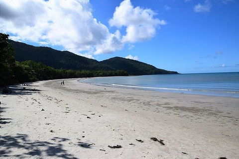 Daintree - Cape Tribulation & Atherton Tablelands Tours From Port Douglas - E Caravan Parks 18