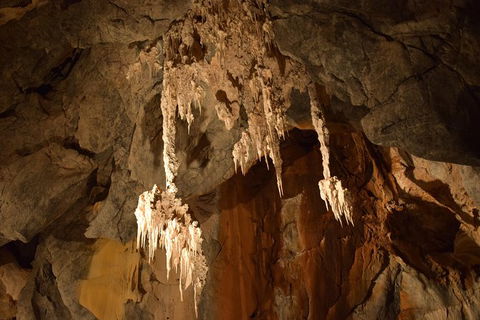 Daintree - Cape Tribulation & Atherton Tablelands Tours From Port Douglas - E Caravan Parks 23