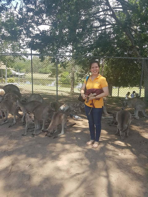 Lone Pine Koala Sanctuary Admission With Brisbane River Cruise - E Caravan Parks 17