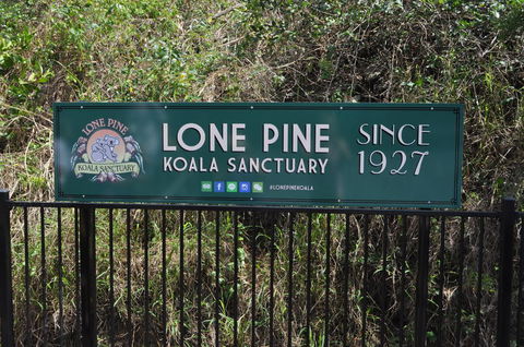 Lone Pine Koala Sanctuary Admission With Brisbane River Cruise - E Caravan Parks 7