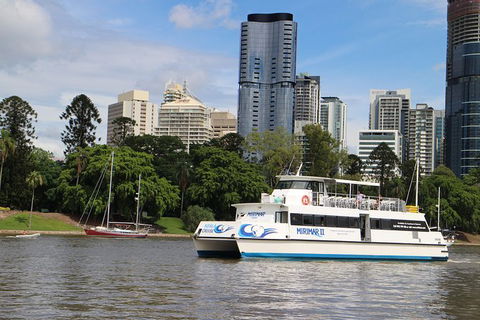 Lone Pine Koala Sanctuary Admission With Brisbane River Cruise - E Caravan Parks 32