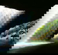 World Heritage Springbrook National Park Tour Including Natural Bridge - E Caravan Parks