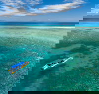 Ocean Safari Great Barrier Reef Experience in Cape Tribulation - E Caravan Parks