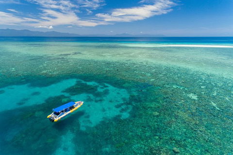 Ocean Safari Great Barrier Reef Experience In Cape Tribulation - E Caravan Parks 0