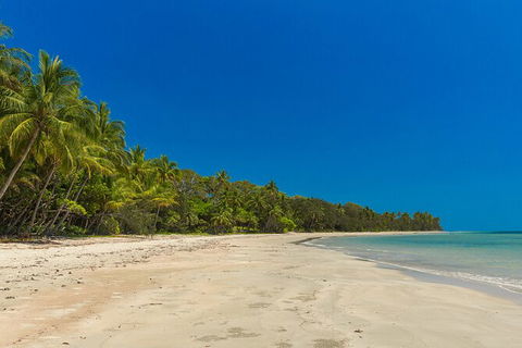Ocean Safari Great Barrier Reef Experience In Cape Tribulation - E Caravan Parks 3