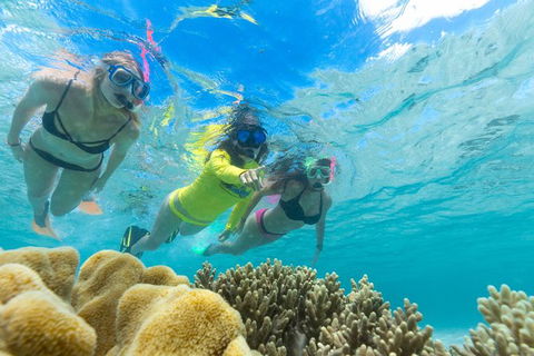 Ocean Safari Great Barrier Reef Experience In Cape Tribulation - E Caravan Parks 4