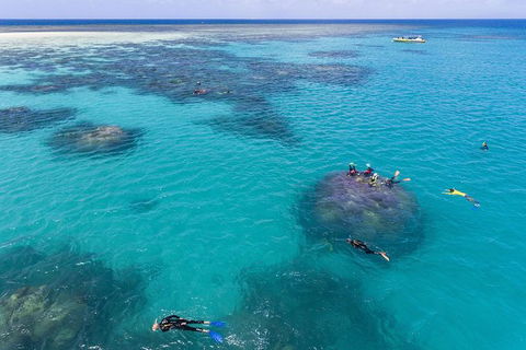 Ocean Safari Great Barrier Reef Experience In Cape Tribulation - E Caravan Parks 12