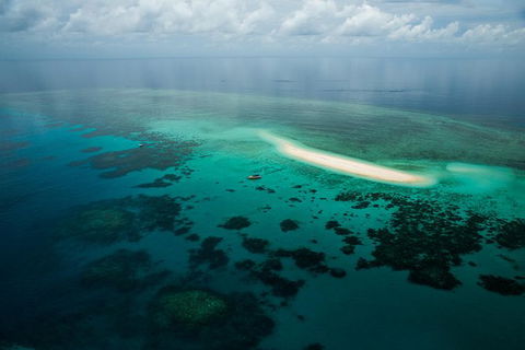 Ocean Safari Great Barrier Reef Experience In Cape Tribulation - E Caravan Parks 16