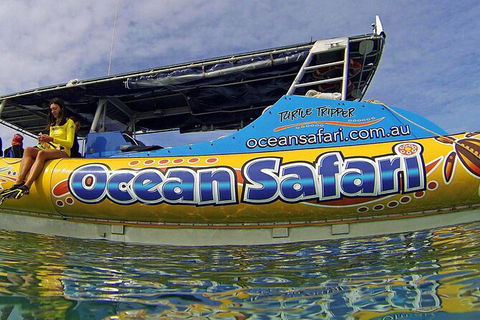 Ocean Safari Great Barrier Reef Experience In Cape Tribulation - E Caravan Parks 8