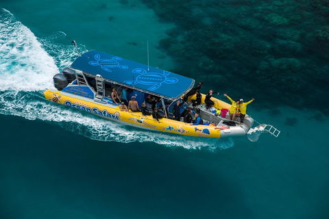 Ocean Safari Great Barrier Reef Experience In Cape Tribulation - E Caravan Parks 9