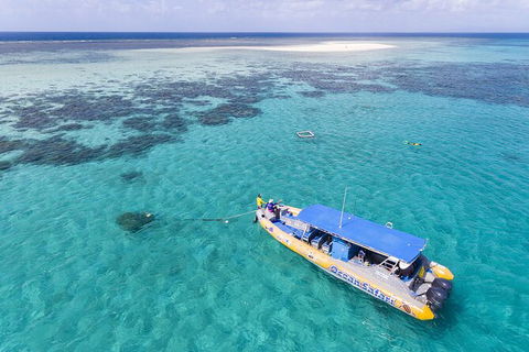 Ocean Safari Great Barrier Reef Experience In Cape Tribulation - E Caravan Parks 11