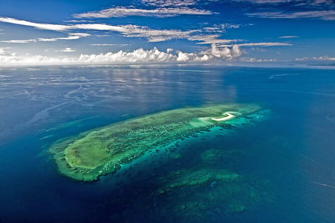 Ocean Safari Great Barrier Reef Experience In Cape Tribulation - E Caravan Parks 15