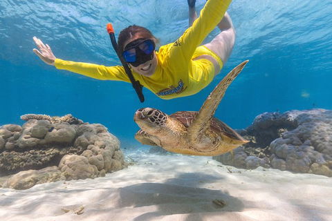 Ocean Safari Great Barrier Reef Experience In Cape Tribulation - E Caravan Parks 2